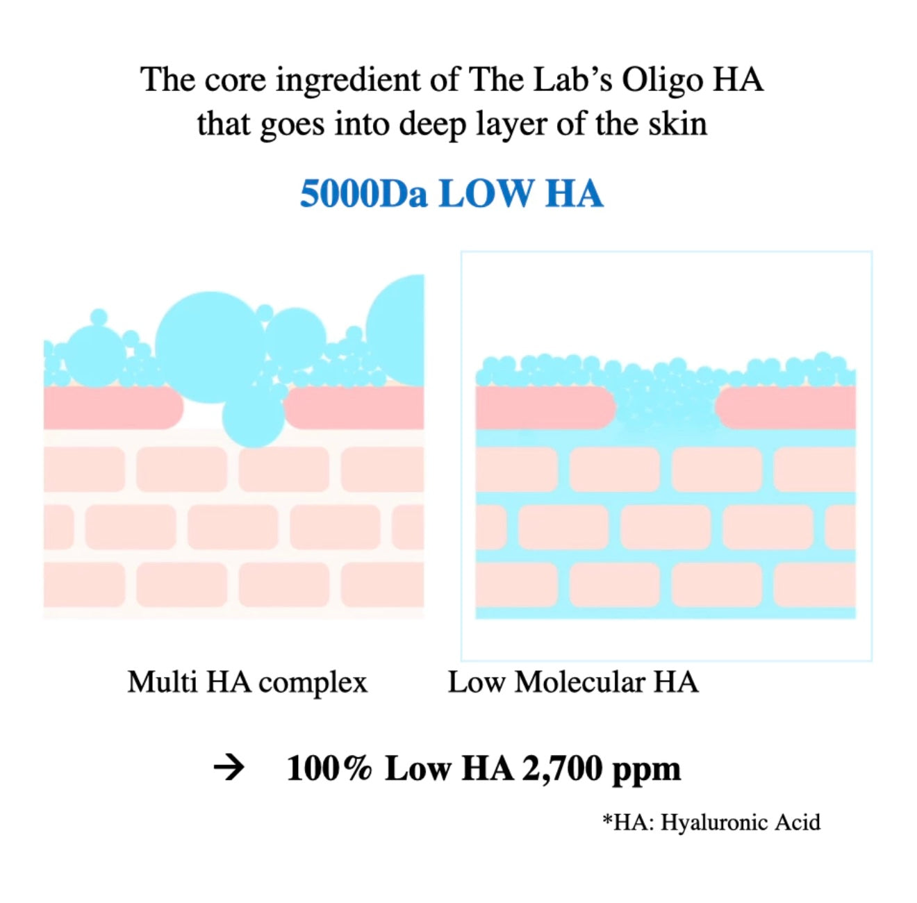 The Lab by blanc doux Deep Toner 500ml + π’ Plushie